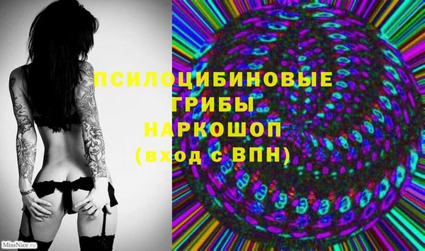 стафф Козельск