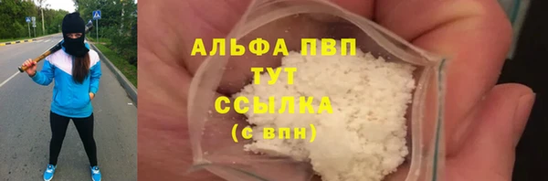 стафф Козельск