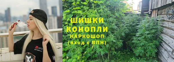2c-b Козловка