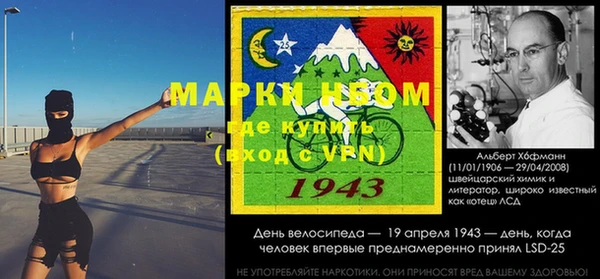 стафф Козельск
