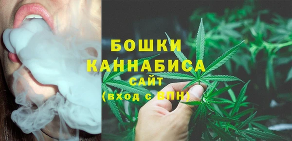 PSILOCYBIN Кодинск