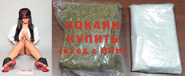стафф Козельск